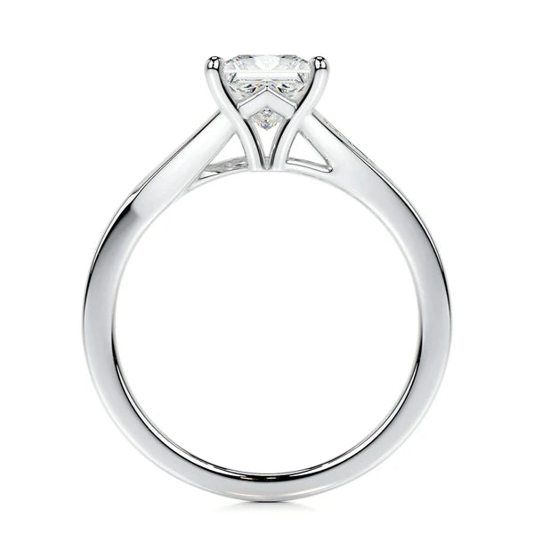 Princess Cut Moissanite Silver Pave Shank Silver Ring