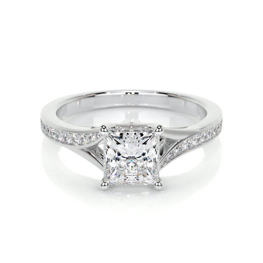 Princess Cut Moissanite Silver Pave Shank Silver Ring