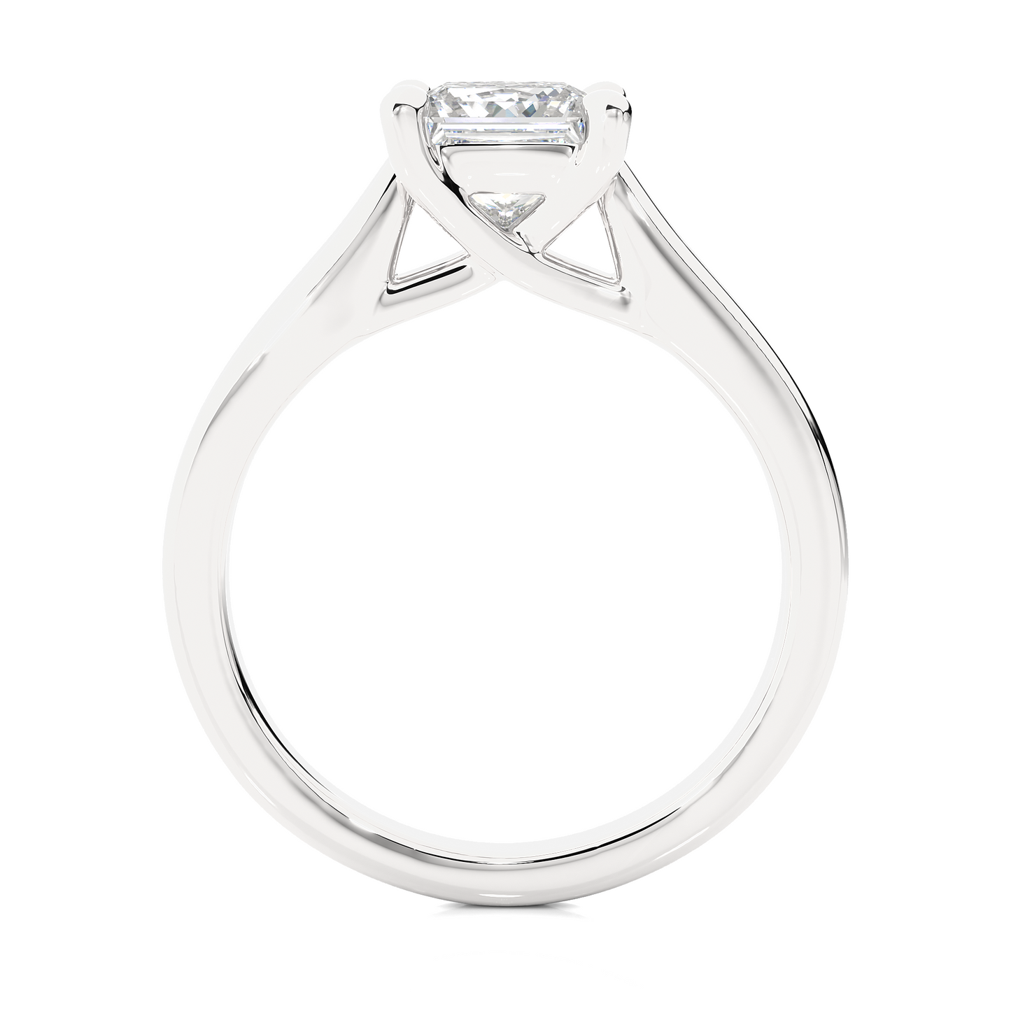 1.0 CT F/VS1 Princess Cut Lab Grown Diamond Engagement Ring